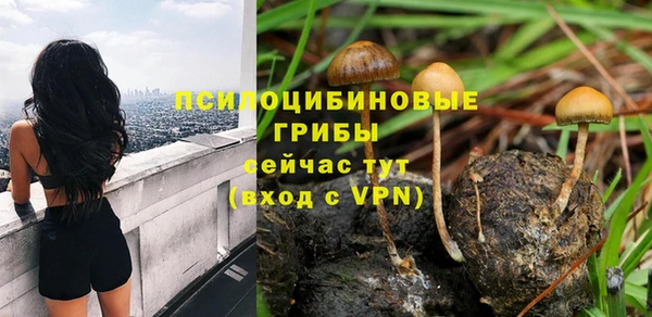 амфетамин Белокуриха