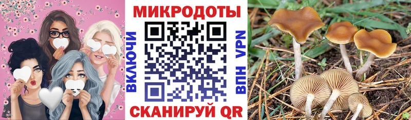 купить наркоту  Котельники  Галлюциногенные грибы Cubensis 